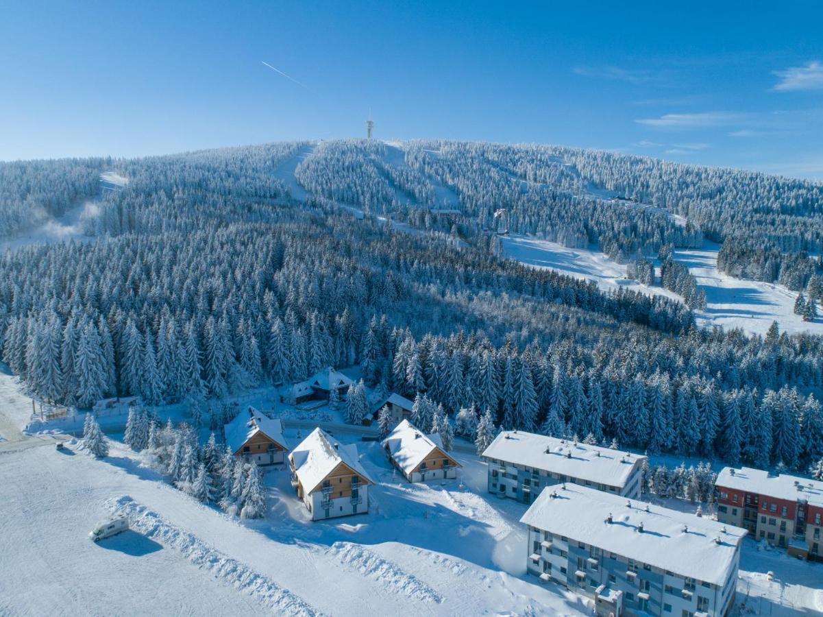 Ski Chalet Klinovec Loučná pod Klínovcem المظهر الخارجي الصورة