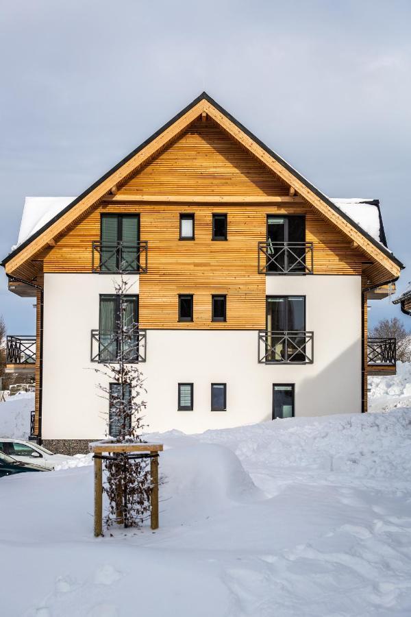 Ski Chalet Klinovec Loučná pod Klínovcem المظهر الخارجي الصورة