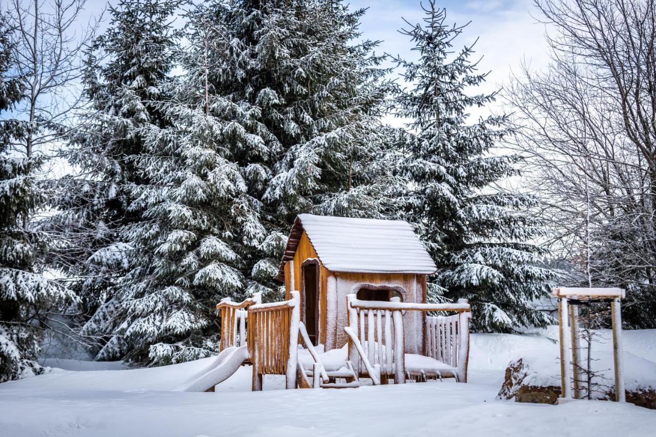 Ski Chalet Klinovec Loučná pod Klínovcem المظهر الخارجي الصورة