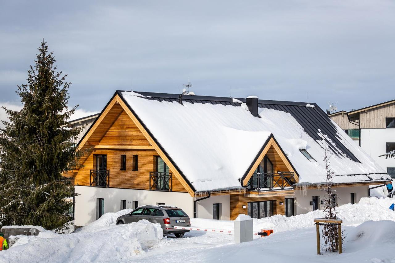 Ski Chalet Klinovec Loučná pod Klínovcem المظهر الخارجي الصورة