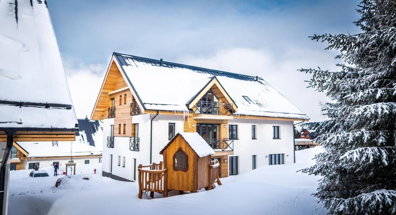 Ski Chalet Klinovec Loučná pod Klínovcem المظهر الخارجي الصورة