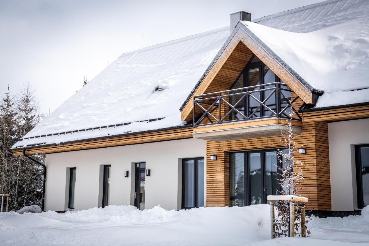 Ski Chalet Klinovec Loučná pod Klínovcem المظهر الخارجي الصورة