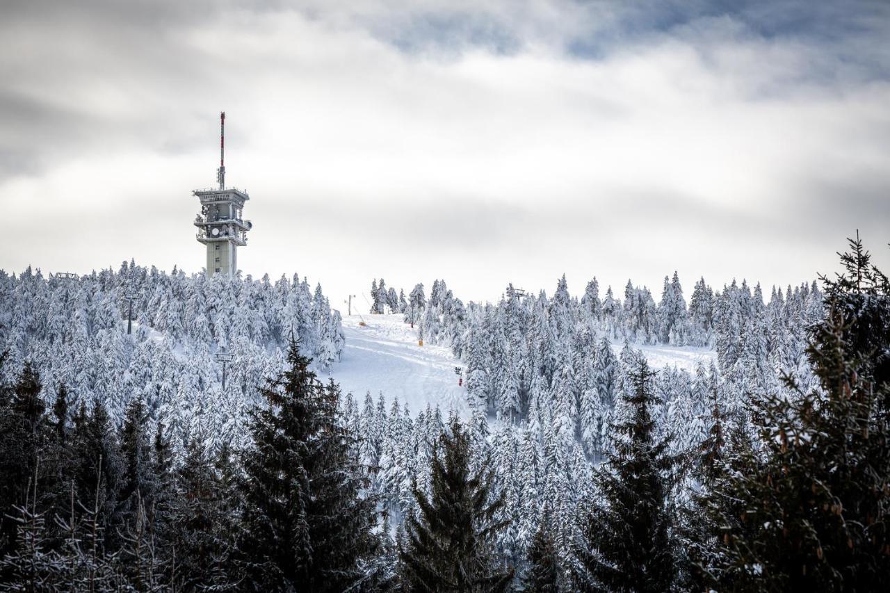 Ski Chalet Klinovec Loučná pod Klínovcem المظهر الخارجي الصورة