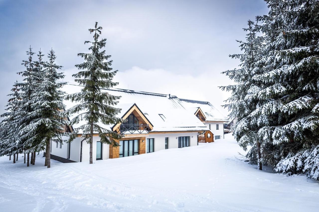 Ski Chalet Klinovec Loučná pod Klínovcem المظهر الخارجي الصورة