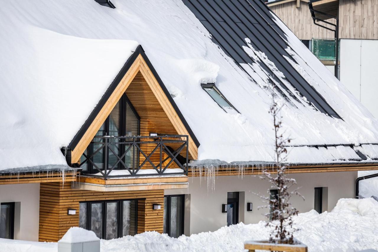 Ski Chalet Klinovec Loučná pod Klínovcem المظهر الخارجي الصورة