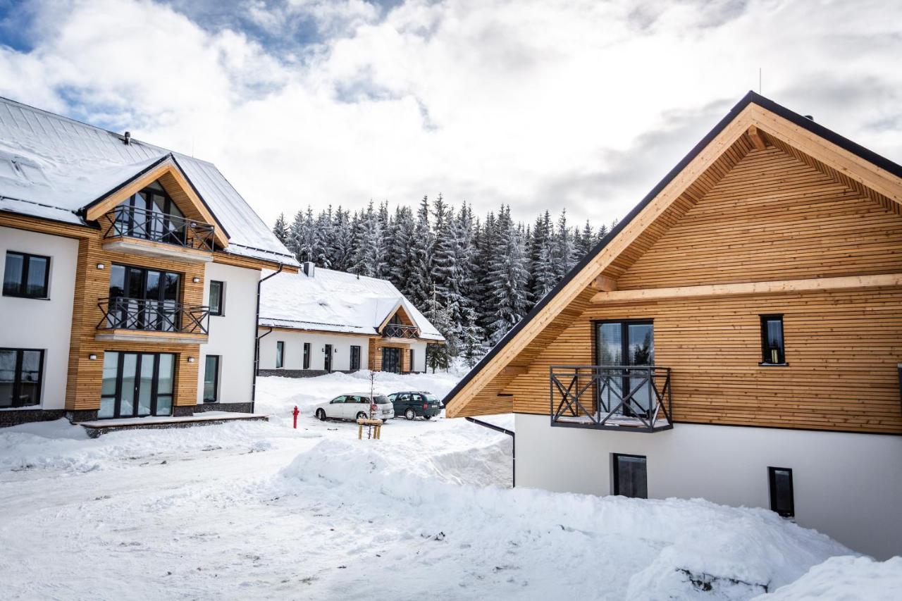 Ski Chalet Klinovec Loučná pod Klínovcem المظهر الخارجي الصورة