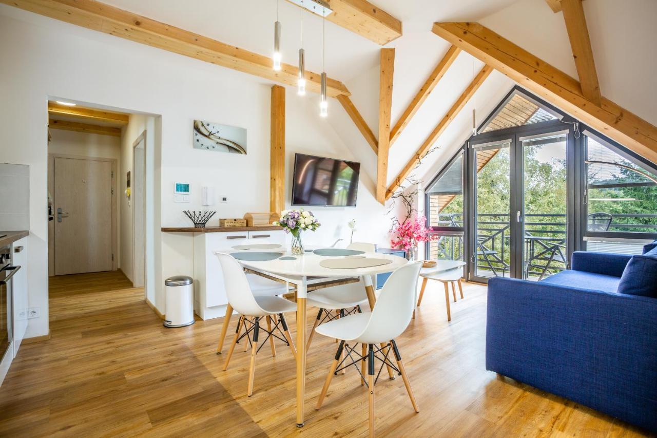 Ski Chalet Klinovec Loučná pod Klínovcem المظهر الخارجي الصورة
