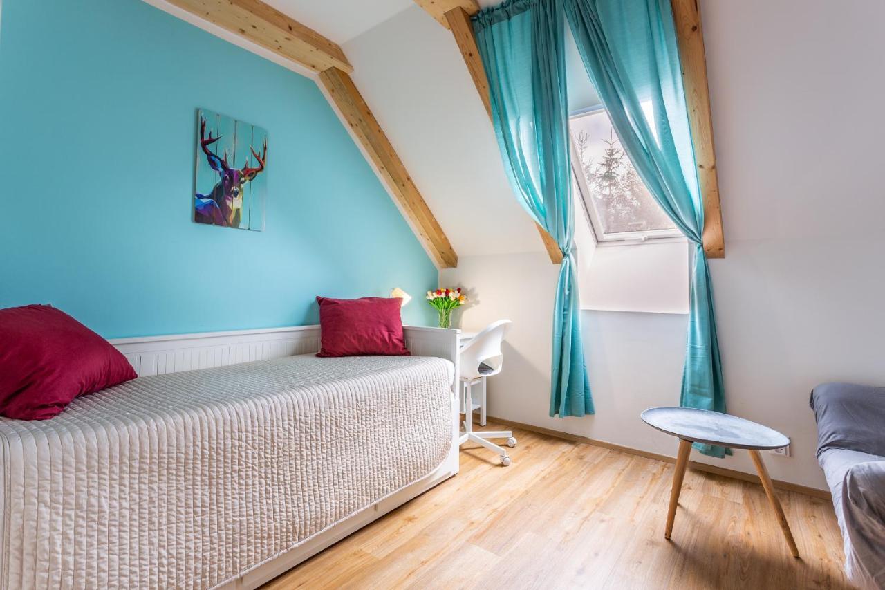 Ski Chalet Klinovec Loučná pod Klínovcem المظهر الخارجي الصورة